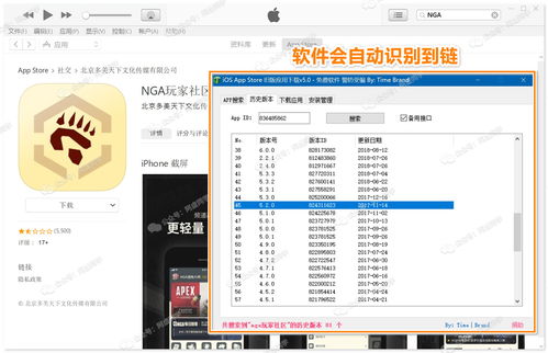 如何将CSDN软件回退到旧版本